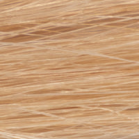 Prótesis Oscar Remy