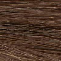 Prótesis Oscar Remy